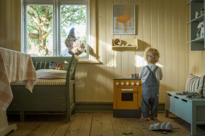 Whimsey Farmhouse Dreams.