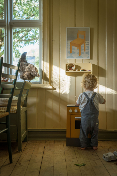 Whimsey Farmhouse Dreams.
