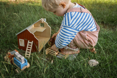 Whimsey Farmhouse Dreams.